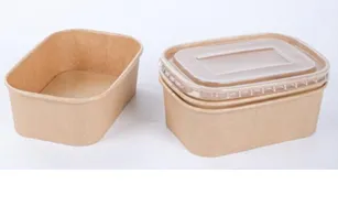 pot recangle bio dp.webp