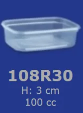00017.108R30 RAV. TRANSP.108R30 PS-100 G.webp