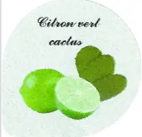 [00612.OPER_67_CITRCA] Opercule 68,3 citron vert cactus