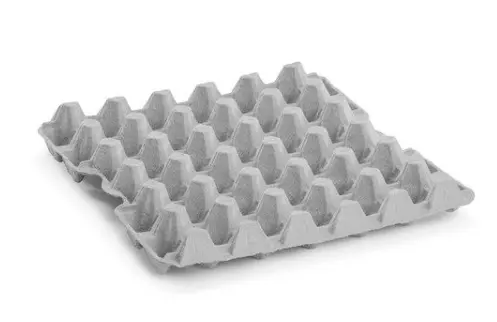 [00009.80100003] Boîtes à oeufs 30 oeufs  160P