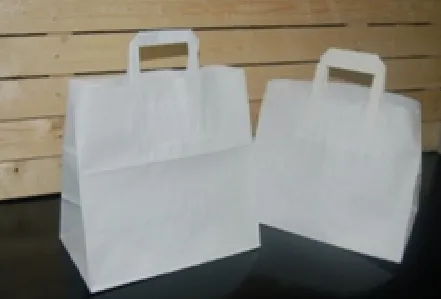 SAC PAPIER BLANC 220/120-100/280 250P